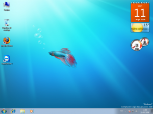 Windows 7